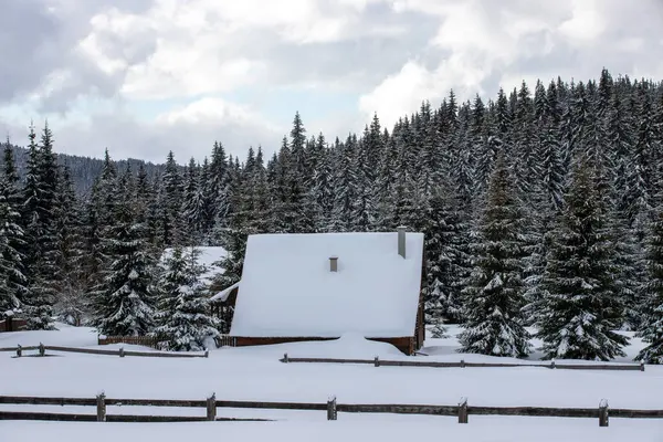 Een Sprookjesachtig Landschap Met Een Huisje Tussen Pijnbomen Winter — Stockfoto