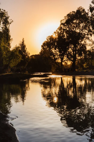 Una Silueta Árboles Cerca Del Lago Atardecer — Foto de Stock