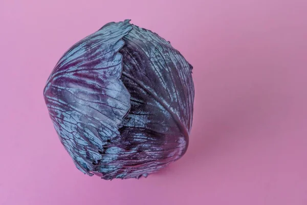 purple cabbage or red cabbage isolated on a pink background