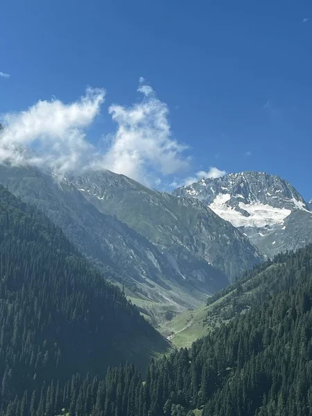 Вертикальний Знімок Лісових Гір Під Блакитним Небом — стокове фото