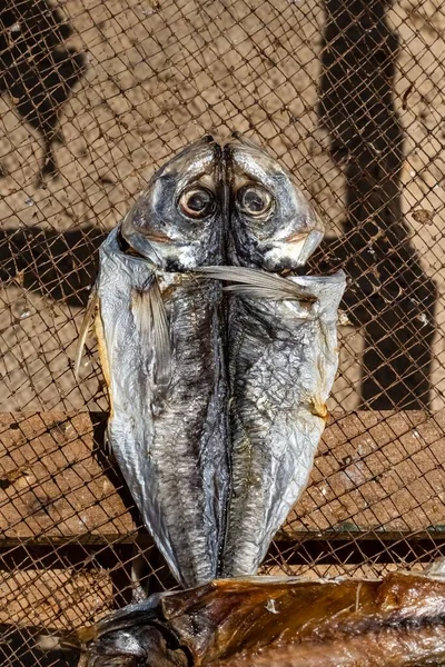 Nazare Portugal Salted Fishes Sold Beach Traditional Market Stall — ストック写真