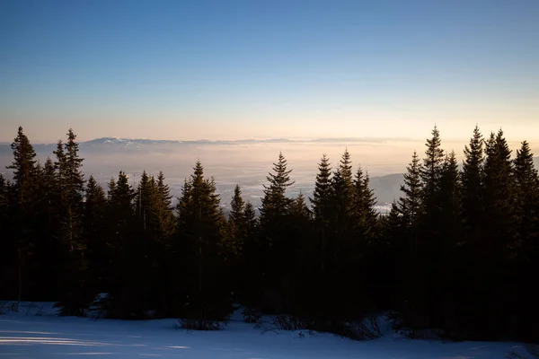 Zimowy Las Bajki Śnieżna Polana Błękitne Niebo — Zdjęcie stockowe
