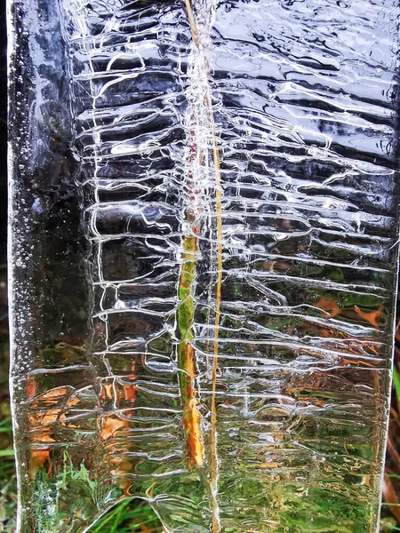 Primer Plano Vertical Una Superficie Hielo Agrietada Una Planta —  Fotos de Stock