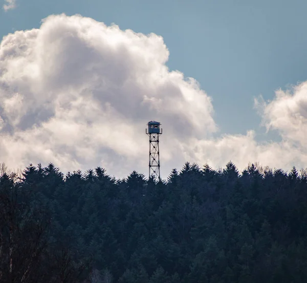 Een Prachtig Uitzicht Zendmast Het Bos Een Witte Bewolkte Hemel — Stockfoto
