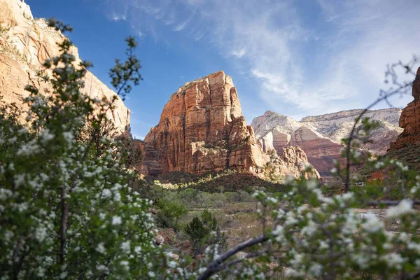 Sendero Aterrizaje Angels Landing Trail Hermoso Paisaje Sobre Cañón Del —  Fotos de Stock