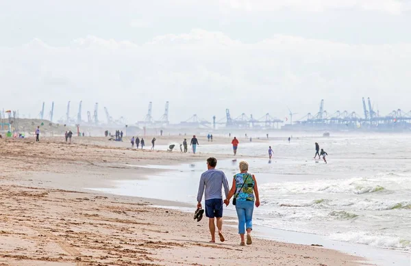 Människor Strosar Den Nederländska Stranden Mot Bakgrund Den Största Hamnen — Stockfoto