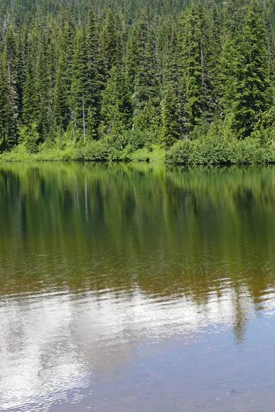 Washington Abd Deki Rainier Dağı Ulusal Parkı Ndaki Bir Gölün — Stok fotoğraf