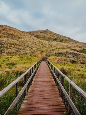Portekiz, Madeira 'da bir dağ üzerindeki tahta köprü ve patikanın dikey görüntüsü.