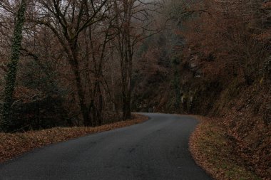 Sonbaharda ormanın ortasında boş bir yol manzarası..