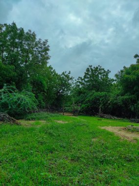 Hint köyü ağaç ve bulutlarının güzel görüntüsü.