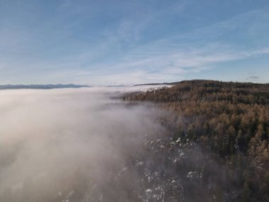 Mavi gökyüzünün altında ormanı olan sisli bir dağın yüksek açılı sabah manzarası, Ukrayna