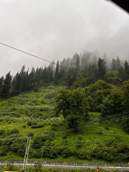 霧の層を持つ森林の丘の垂直ショット — ストック写真