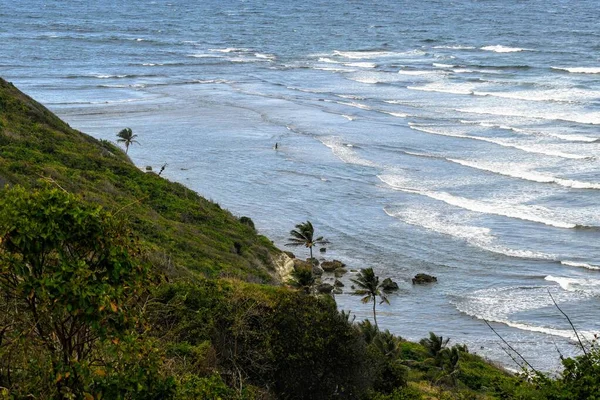 Bel Colpo Mare Ondulato Circondato Una Collina Palme — Foto Stock