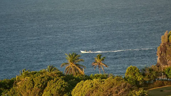 Une Belle Vue Sur Verdure Sur Littoral — Photo