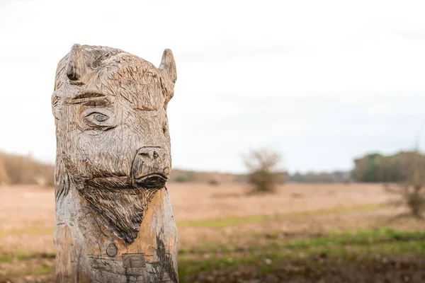 Primo Piano Una Statua Legno Animale — Foto Stock