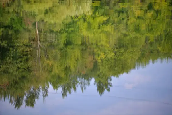 Выстрел Озерной Воды Зелеными Летними Деревьями — стоковое фото