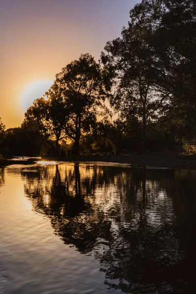 Uma Silhueta Árvores Perto Lago Pôr Sol — Fotografia de Stock