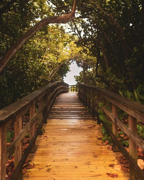 Ein Vertikaler Blick Auf Eine Holzbrücke Die Herbst Durch Bäume — Stockfoto