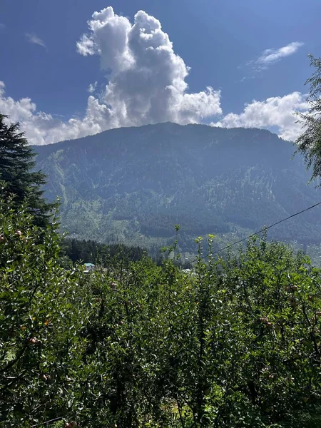 Вертикальный Снимок Покрытой Лесом Горы Облаками — стоковое фото