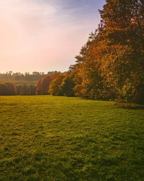 夕暮れ時の緑の野の紅葉の絶景 — ストック写真