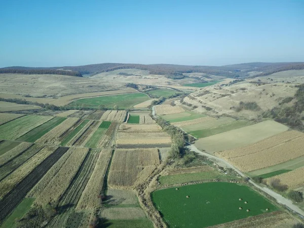 Une Vue Aérienne Champ Campagne — Photo