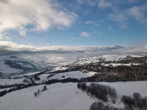 明るい冬の天気の間に松の木と雪の山の高角度ショット ウクライナ — ストック写真