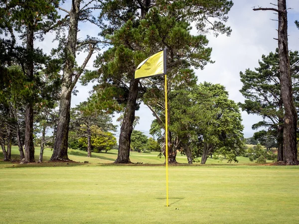 Utsikt Över Golfbanan Musick Point Gul Flaggstång Auckland Nya Zeeland — Stockfoto