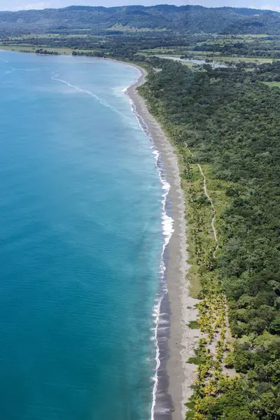 Luftaufnahme Eines Blauen Meeres Mit Bäumen Der Nähe Des Sandstrandes — Stockfoto
