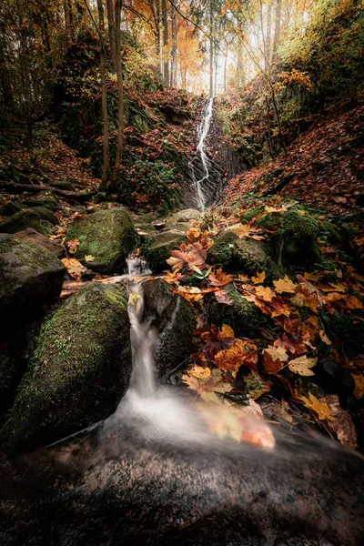Small Waterfall Forest — Stock Photo, Image