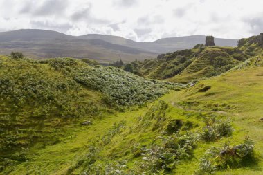 Yeşil tepelerin manzarası