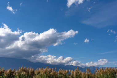 Güzel bulutlu bir gökyüzü yeşil ağaçların üzerinde