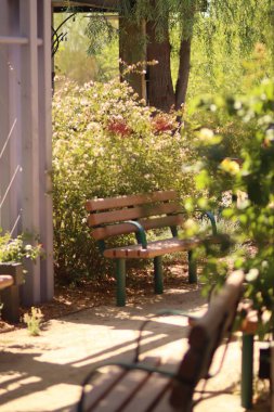 Parktaki tahta bir bankın dikey görüntüsü.