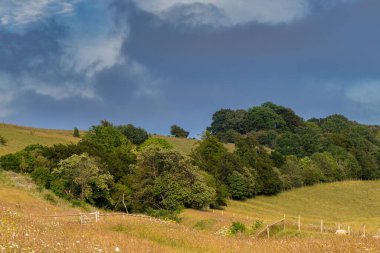 Yaklaşan yaz fırtınası ile ağaçlarla kaplı bir tepe.