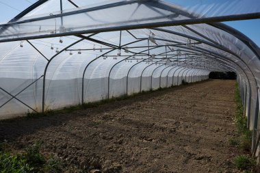 Bir seranın içeriden görünüşü