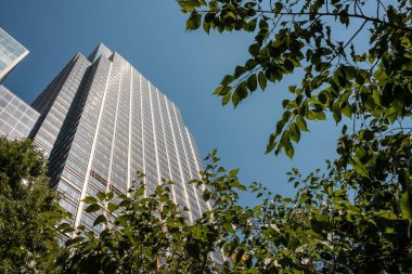 Londra, İngiltere 'de ön planda ağaçlar olan uzun cam mimari bir binanın alçak açılı görüntüsü.