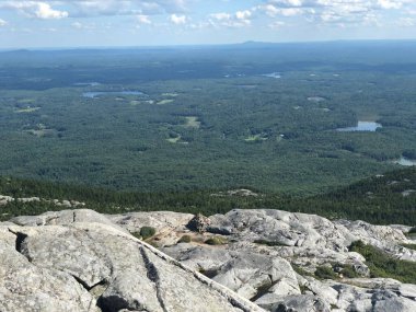 Arka planda orman ve göller olan kayalık bir dağın tepesinden güzel bir manzara.