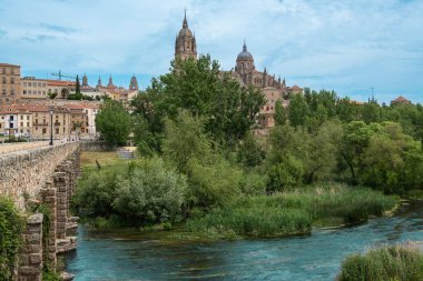 İspanya 'nın Salamanca şehrinden geçen Tormes Nehri üzerindeki Roma köprüsü.