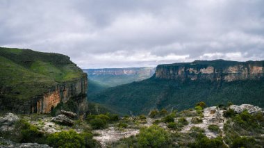 Yeşil orman ağaçlarıyla kaplı güzel bir dağ manzarasının yüksek açılı görüntüsü.