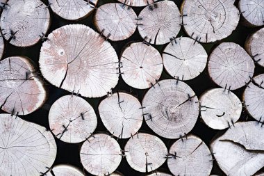 Kesilen günlüklerin üst görüntüsü