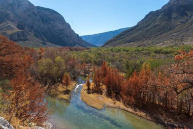 Dağların arka planında sonbahar yapraklarında ağaçlar olan bir nehrin havadan görünüşü.