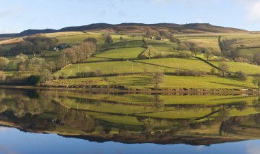 Suyu yansıtan yeşil bir tepe.