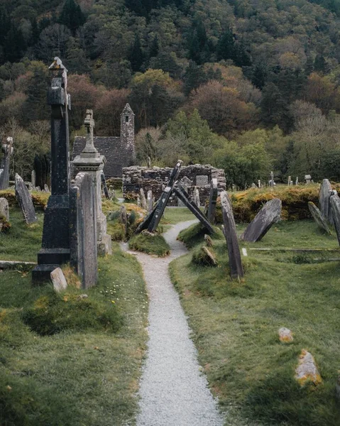 Velho Cemitério Com Edifício Uma Floresta Densa Dublin Irlanda — Fotografia de Stock