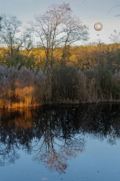 Красивый Пейзаж Осенних Лесных Деревьев Отраженных Озере Воды Вертикальные — стоковое фото