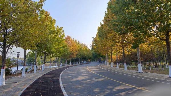 Uma Bela Estrada Forrada Com Árvores Outono — Fotografia de Stock