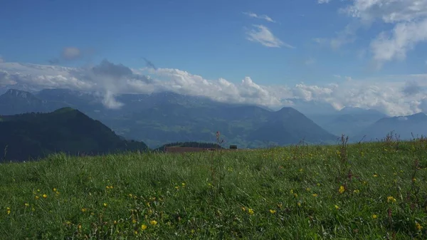 Una Vista Panoramica Prato Verde Contro Montagne Una Giornata Sole — Foto Stock