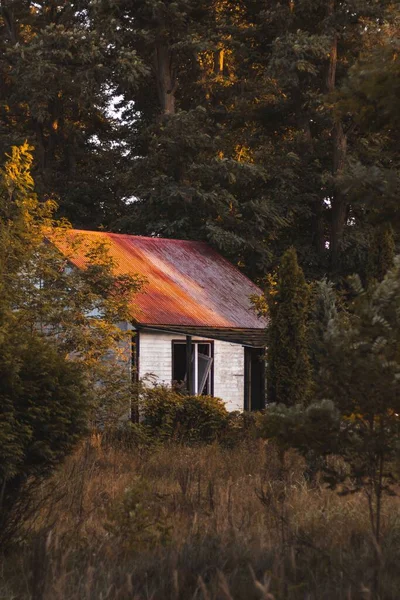 Una Vista Vertical Una Acogedora Cabaña Roja Blanca Escondida Bosque — Foto de Stock