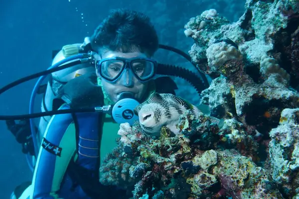 エジプトのムッサアラムで石やカラフルなサンゴ礁で紅海を発見した白人のダイバー — ストック写真