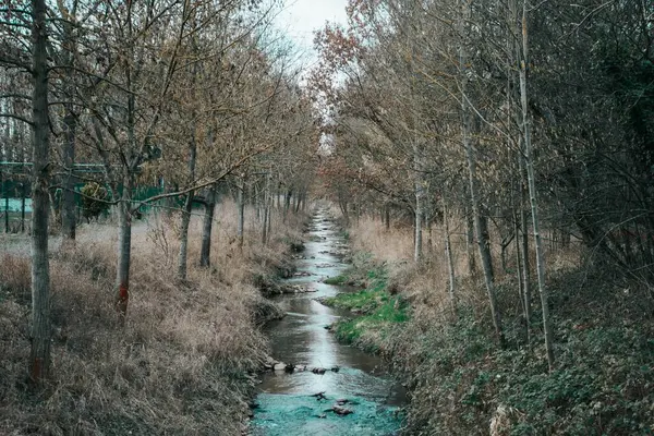 Ένα Μικρό Ρέον Ποτάμι Μια Αντανάκλαση Που Περιβάλλεται Από Δέντρα — Φωτογραφία Αρχείου