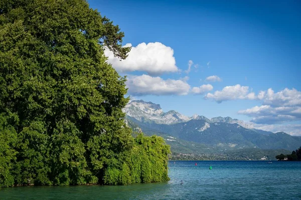 Deniz Manzaralı Bir Dağ Manzarasına Karşı Ağaçlarla Kaplı Küçük Bir — Stok fotoğraf