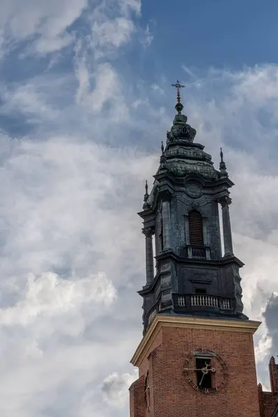 Tour Cathédrale Piotr Pawel Sur Île Tumski — Photo